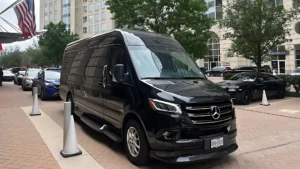 executive sprinter van (1)
