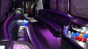 interior-image-of-luxury-party-bus