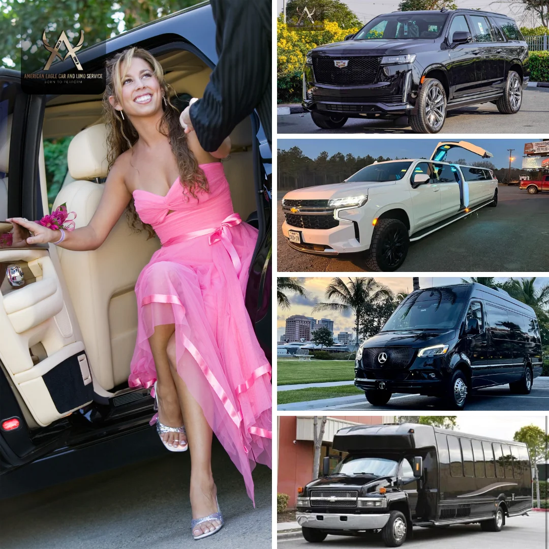 jupiter island car service vip luxury guide jupiter island car service vip luxury guide Jupiter Island car service Professional chauffeur service for private transportation to Jupiter Island luxury residences