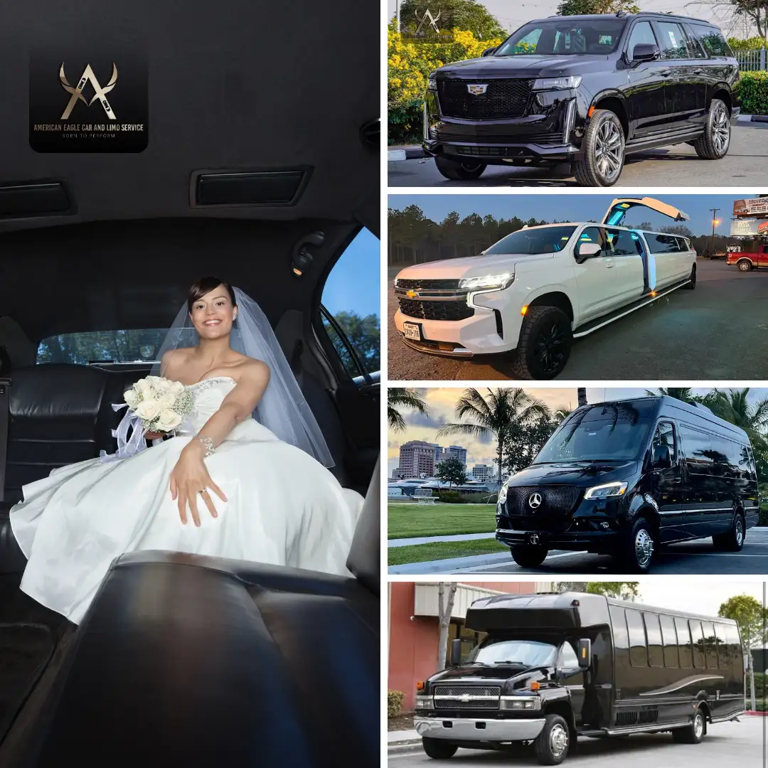Luxury car service Jupiter Island FL with professional chauffeur ready for airport transport