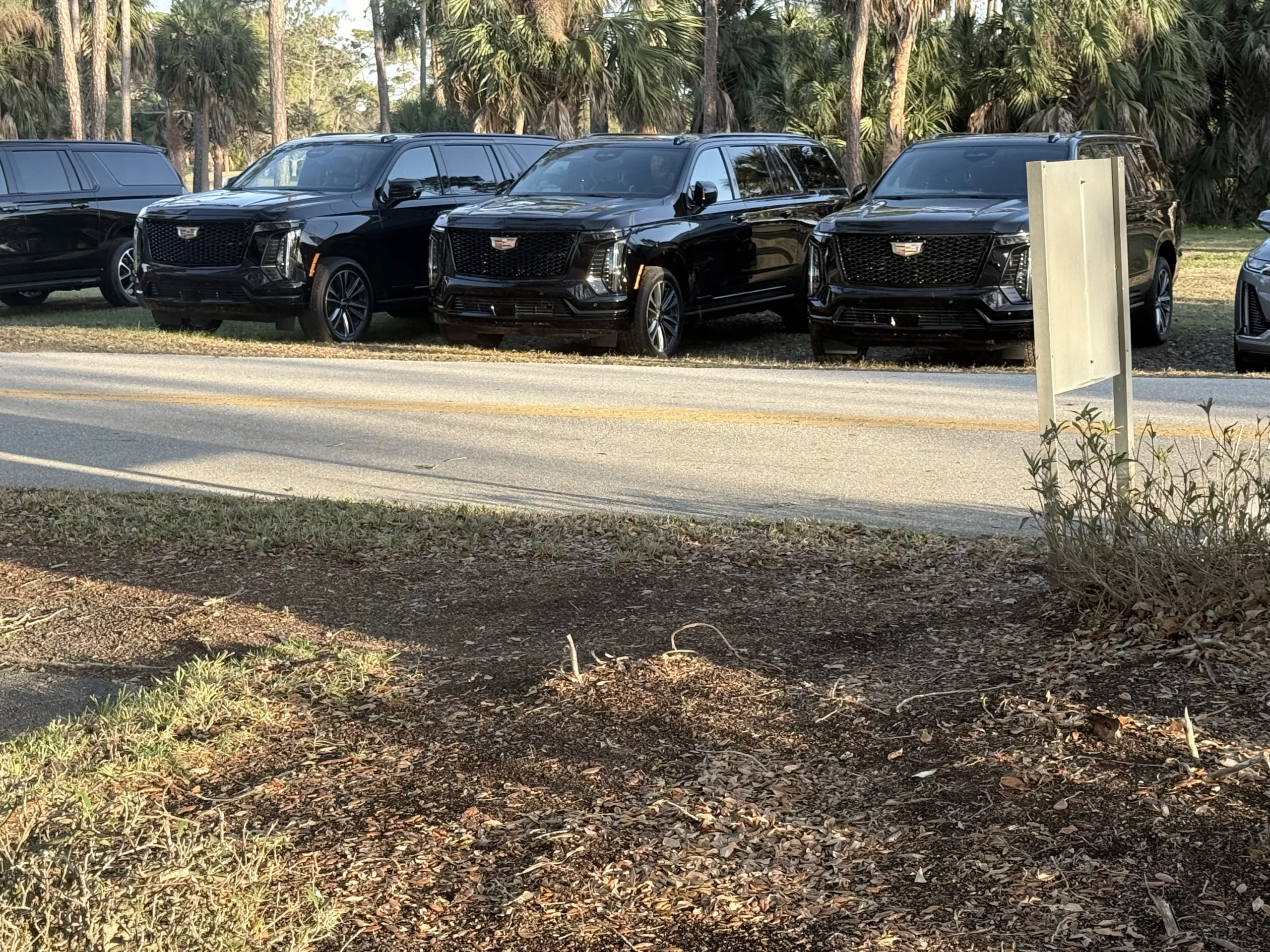 hollywood limo service hollywood limo service Premium luxury ground transportation in Hollywood, FL.